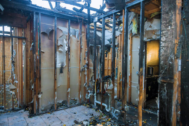 Professional Fire Damage Removal technician working in Travelers Rest, SC